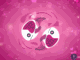 Pisces Love Horoscope 2021 – Marriage | Family | Health | Single Pisces love horoscope