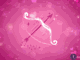 Sagittarius Love Horoscope 2021 – Marriage | Family | Health | Single sagittarius love horoscope