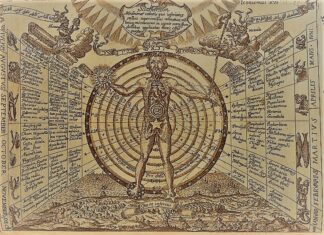 What is Astrology What is astrology, its types, origin and constellation