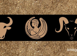 Everything know about Earth Zodiac Signs earth zodiac signs Taurus Virgo capricorn