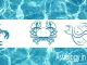 Everything know about Water Zodiac Signs Everything know about water Zodiac Signs