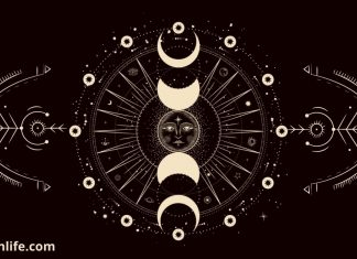 What are Astrological Houses and how to understand them Astrological houses