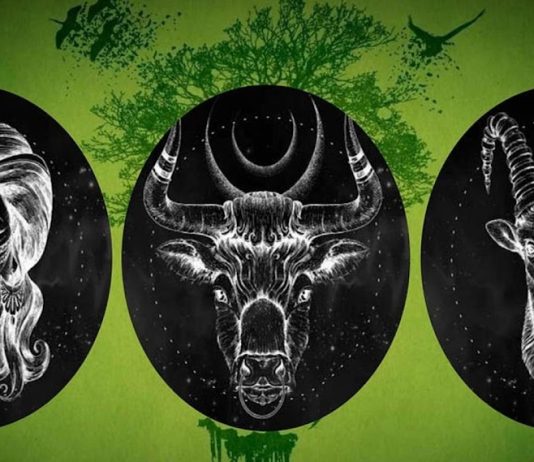 What are the Earth Signs in Astrology : Capricorn, Taurus, and Virgo