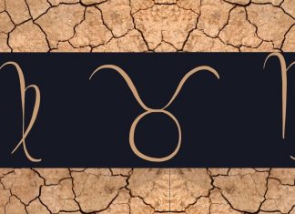 What are the Earth Signs in Astrology : Capricorn, Taurus, and Virgo What are Earth signs in Astrology