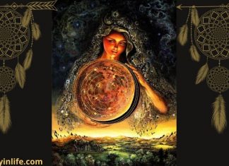 American Astrology Wheel: Comparison of Zodiac Signs and American Zodiac Animals American Astrology Wheel