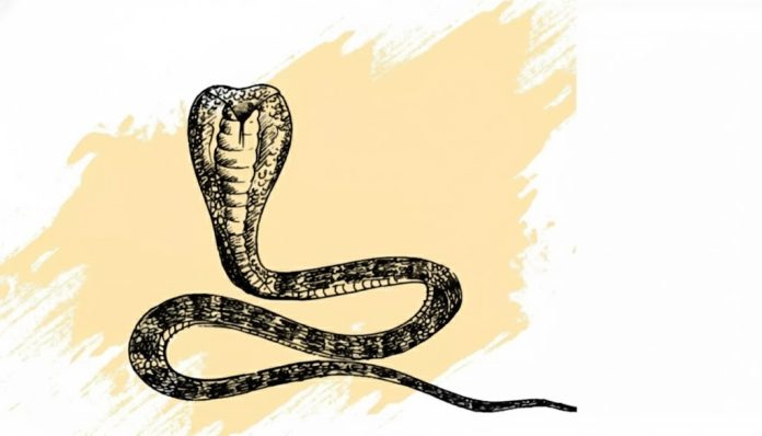 कालसर्प दोष दूर करने का 1 रामबाण उपाय