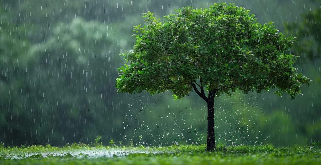 sapne me barish dekhna