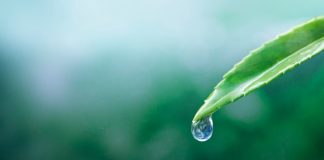 Sapne Me Pani Dekhna: शुभ और अशुभ संकेत जानें sapne me pani dekhna