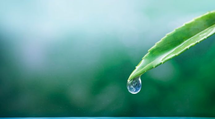 Sapne Me Pani Dekhna: शुभ और अशुभ संकेत जानें sapne me pani dekhna